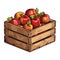 Freshly harvested organic apples basket