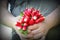 Freshly harvested radish. Bunch of vegetables in a hand farmer