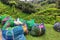 Freshly harvested tea in sacks in Tea plantations near Yellapatty in Munnar, Kerala, India