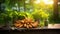 freshly harvested turmeric rhizomes and their lush leaves