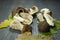 Freshly harvested woodland mushrooms