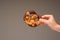 Freshly home backed Pretzel held in hand by Caucasian male hand. Close up studio shot, isolated on gray