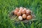 freshly laid eggs on natural grass background