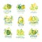 Freshly lemonade, 100 percent pure lemon set for label design, hand drawn colorful vector Illustrations