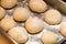 Freshly made white bread rolls proving