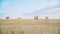 Freshly mowed field of wheat, on which lies straw rolled into large cylinders, on a sunny summer evening