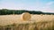 Freshly mowed field of wheat, on which lies straw rolled into large cylinders, on a sunny summer evening