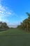 Freshly mowed green grass at dawn on a tropical golf course