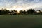 Freshly mowed green grass at dawn on a tropical golf course