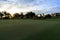 Freshly mowed green grass at dawn on a tropical golf course