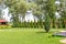 Freshly mowed rows of green lawn at country residence with summerhouse. Hedge of fresh cedars. Landscape design and