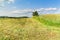 Freshly mowing meadows in the Czech Republic - Europe. Agricultural landscape. Summer day on the farm