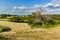 Freshly mowing meadows in the Czech Republic - Europe. Agricultural landscape. Summer day on the farm