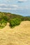 Freshly mowing meadows in the Czech Republic - Europe. Agricultural landscape. Summer day on the farm