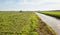 Freshly mown grassland bordering on a ditch