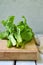 Freshly organic picked green swiss chard on wooden background. Spring green herbs.