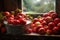 freshly picked apples being washed with water spray