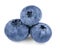 Freshly picked blueberries isolated on white background. Wild berries Macro