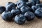 Freshly picked blueberries in wooden background. Juicy and fresh blueberries