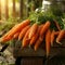 Freshly picked carrots in basket with juicer ready for nutrient rich juice making