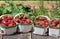 Freshly Picked Field Strawberries