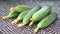 Freshly picked fresh cucumbers on the table in the summer garden