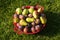 Freshly Picked Fruits in a Bowl