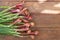 Freshly picked green spring onions in wooden boards. First harvest