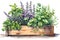 Freshly Picked Herbs in a Wooden Planter Box
