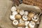 Freshly picked mushrooms, closed cup and chestnut mushrooms, in a brown basket lined with hessian fabric.