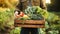 Freshly picked from the orchard. Harvest in organic farm. Farmer holding wooden box with freshly picked vegetables,