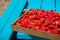 Freshly picked organic strawberries on a picnic table