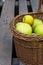 Freshly picked raw organic green yellow apples of various kinds in vintage wicker basket on wood garden table.Autumn fall harvest