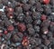 Freshly picked ripe Blackberries. Blackberries Background