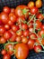 Freshly picked tomatoes on vines