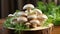 Freshly picked true mushrooms decorated with fresh herbs lying on a wooden table. Rustic still life with edible mushrooms.