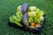 Freshly picked vegetables in a plastic crate. Fresh vegetables grown in the garden. Different types of peppers, tomatoes,