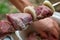 Freshly pickled meat sliced into barbecue man strung his hand on a skewer in the garden