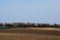 Freshly ploughed brown farm land with bloomimg almond trees in the background