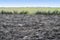 Freshly ploughed clay with polder landscape