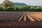 Freshly ploughed field in the evening sun