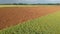 Freshly plowed fallow field in summer, aerial view