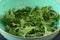 Freshly rinsed raw kale