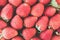 Freshly ripe strawberries background