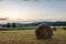 Freshly rolled bales of hay rest on a field at sunrise