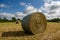 Freshly rolled hay bail in a meadow