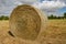 Freshly rolled hay bail in a meadow