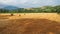 Freshly rolled hay bales in a field in Tuscany Italy. Golden and relaxing contest. Summer season