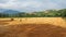 Freshly rolled hay bales in a field in Tuscany Italy. Golden and relaxing contest. Summer season