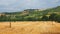 Freshly rolled hay bales in a field in Tuscany Italy. Golden and relaxing contest. Summer season